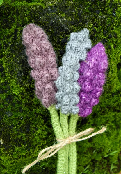 Schöne gestrickte Lavendelblüte — Stockfoto