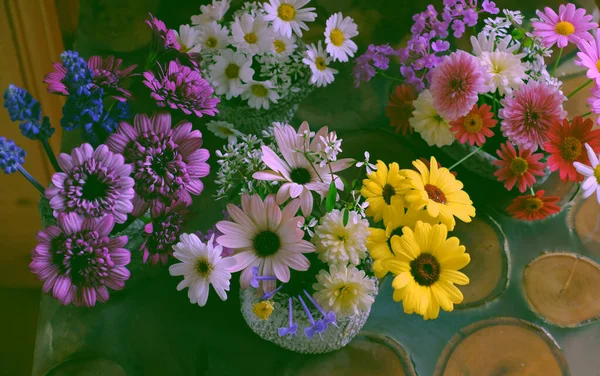 Schöne Bunte Blumenarrangements Für Dekoration Haus Sorte Winzige Gänseblümchen Gerade — Stockfoto