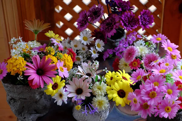 Arranjo Colorido Bonito Flor Para Decoração Dentro Casa Variedade Pequena — Fotografia de Stock