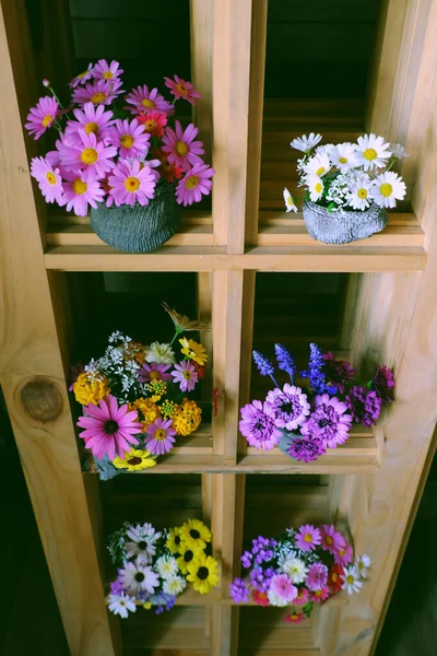 Gruppe Von Bunten Blumentopf Auf Holzregalen Für Wohnkultur Viele Gänseblümchen lizenzfreie Stockbilder