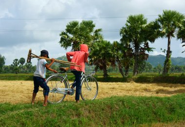 çocuk işçiliğinin Asya yoksul kırsal