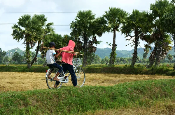 Travail des enfants dans les campagnes pauvres d'Asie — Photo