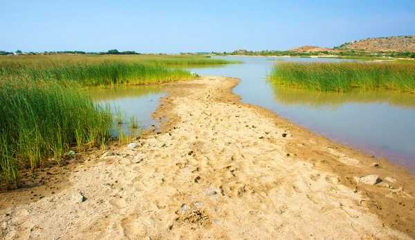 Prachtige landschap, vietnam platteland — Stockfoto