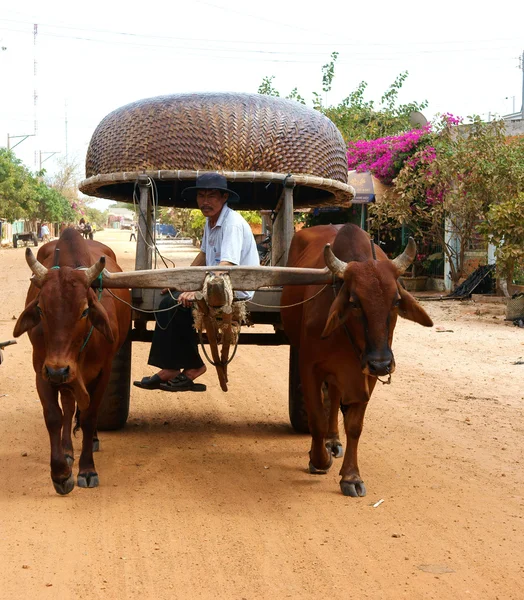 Wagon, transport at Vietnam countryside — Stock Photo, Image