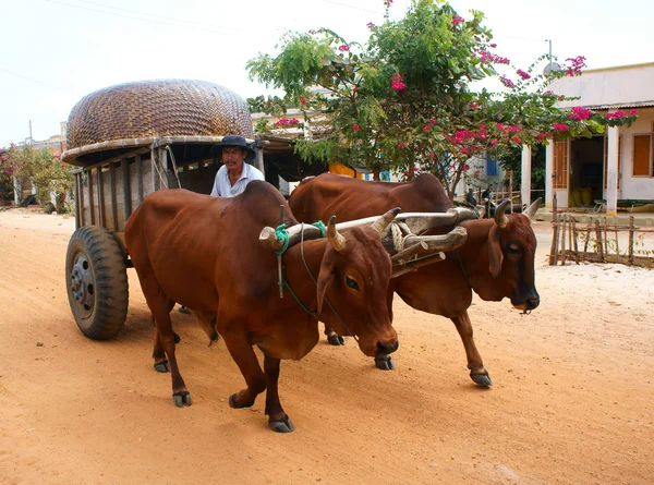 Wagon, transport at Vietnam countryside — Stock Photo, Image