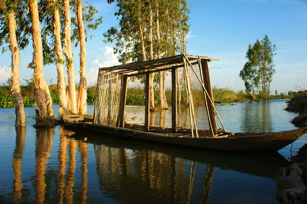 Paisaje maravilloso, Campo de Vietnam, Delta del Mekong — Foto de Stock