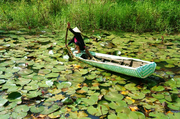 Азіатський фермер, забрати водна Лілія, в'єтнамської кухні — стокове фото