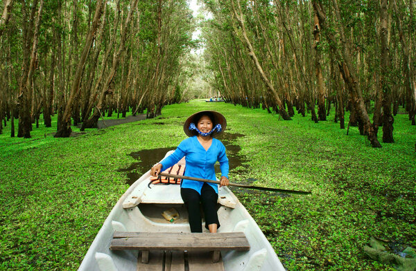Tra Su indigo forest, Vietnam ecotourism