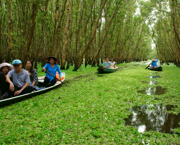 Tra 苏靛蓝森林，越南生态旅游 — 图库照片