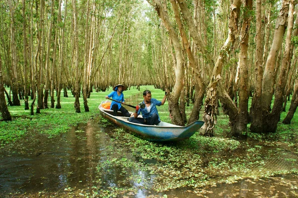 Forêt indigo de Tra Su, Vietnam écotourisme — Photo