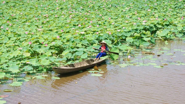 Village vietnamien, bateau à rames, fleur de lotus, étang de lotus — Photo