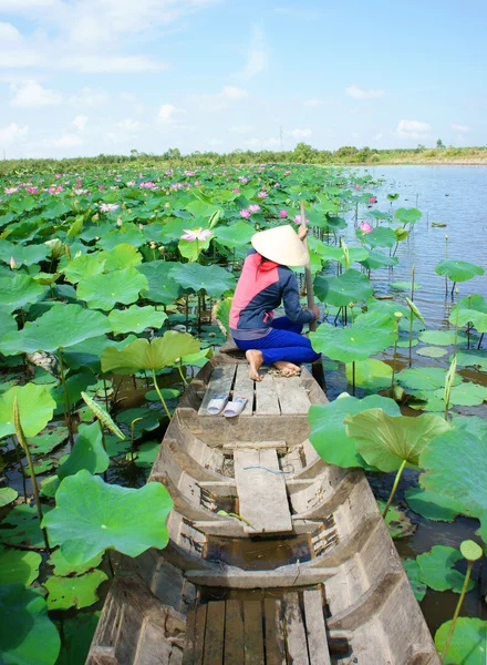 Vila vietnamita, barco de linha, flor de lótus, lagoa de lótus — Fotografia de Stock