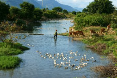 İnanılmaz sahne, Vietnamca Köyü, Vietnam seyahat