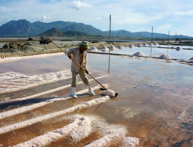 Asyalı çiftçi, tuz plantation, Vietnamca salina