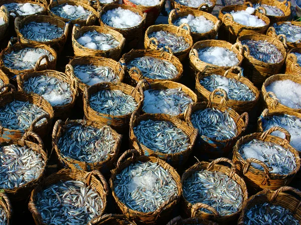 Cesta de biqueirão, material para molho de peixe — Fotografia de Stock