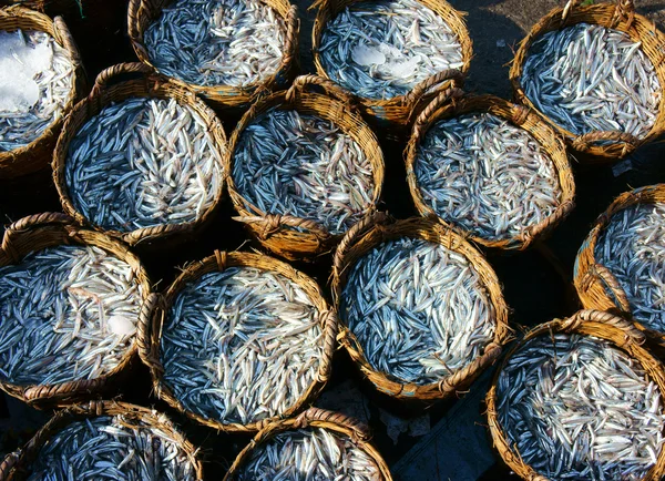 Anchovy basket, material for fish sauce — Stock Photo, Image