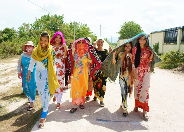 Vietnam kadın, gelenek elbise, Kate karnaval