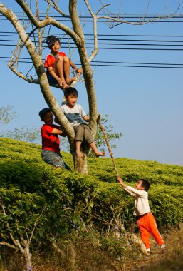 Asya çocuk, etkin çocuk, açık hava etkinliği