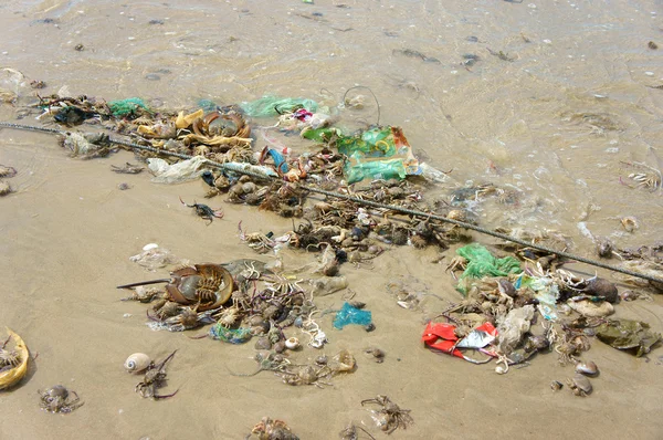 Resíduos recursos naturais, fonte de frutos do mar — Fotografia de Stock