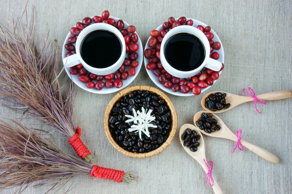 Armonia creativa, chicco di caffè, tazza di caffè, bacche mature — Foto Stock