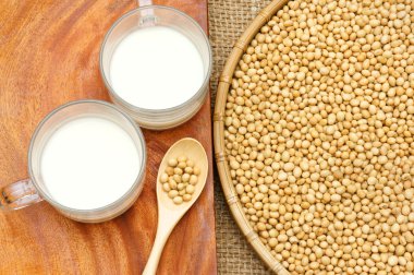 Soya, soya sütü, beslenme içecek