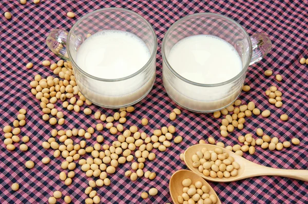 Soybean, soymilk, nutrition beverage — Stock Photo, Image