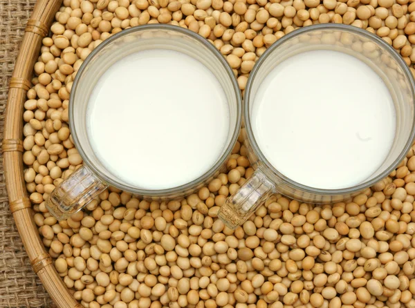 Soybean, soymilk, nutrition beverage — Stock Photo, Image