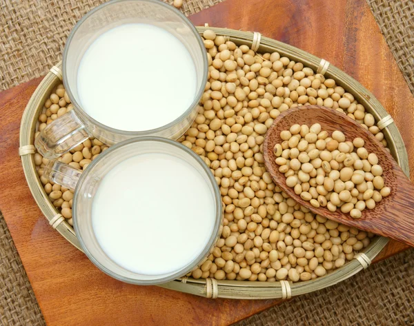 Soybean, soymilk, nutrition beverage — Stock Photo, Image