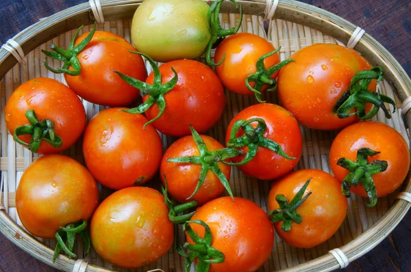 Tomate, Brustkrebs vorbeugen — Stockfoto
