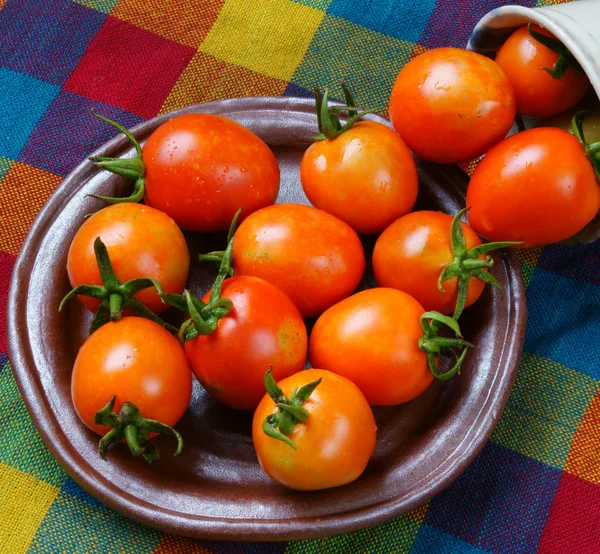 Tomato, prevent breast cancer — Stock Photo, Image