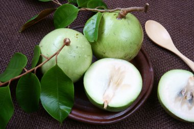 Vietnam farm product, milk fruit, star apple clipart