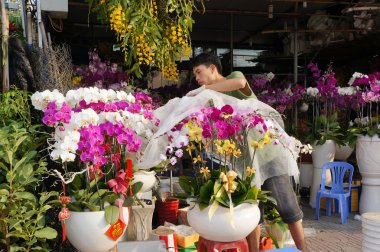 Tet Ho Chi Minh city, çiçek pazarı üzerinde