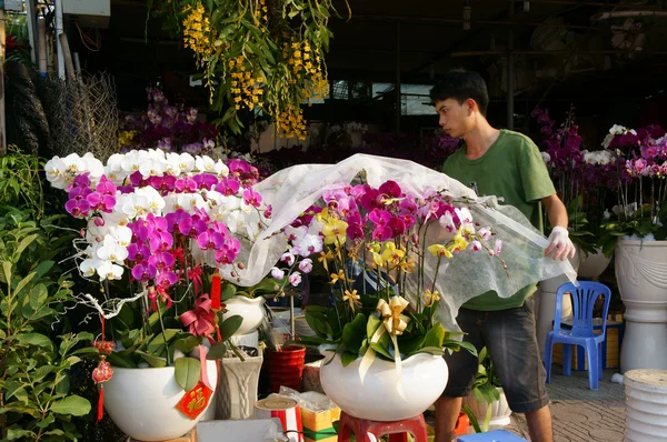 호치민 시티, 꽃 시장에 Tet — 스톡 사진