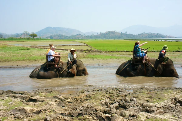 Turista viajando Vietnamita campo, passeio elefante — Fotografia de Stock