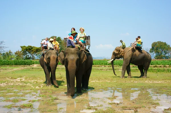 Toeristische reizen van Vietnamese platteland, rijden olifant — Stockfoto
