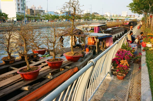 보트, 봄 꽃, 우리 모두의 베트남 Tet — 스톡 사진