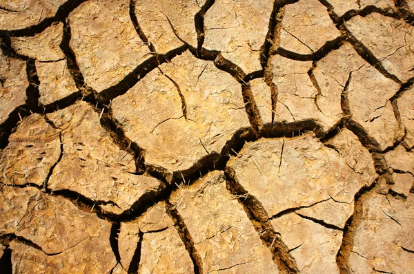 Torkan mark, klimatförändringar, het sommar — Stockfoto