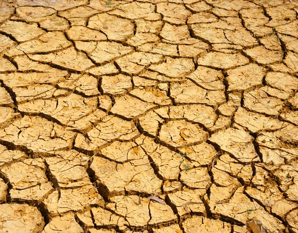 Terra seca, mudança climática, verão quente — Fotografia de Stock