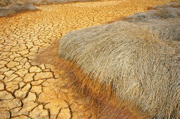 Tierra de sequía, cambio climático, verano caluroso Imágenes de stock libres de derechos