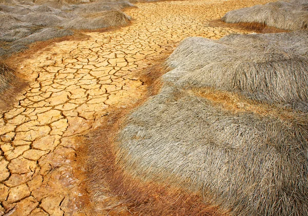 Tierra de sequía, cambio climático, verano caluroso Imágenes De Stock Sin Royalties Gratis