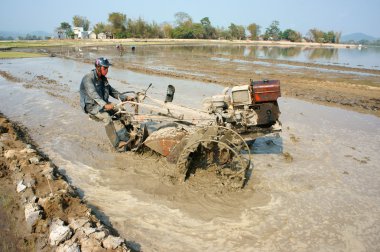  Asyalı çiftçi, Vietnam alan, traktör plough pirinç.