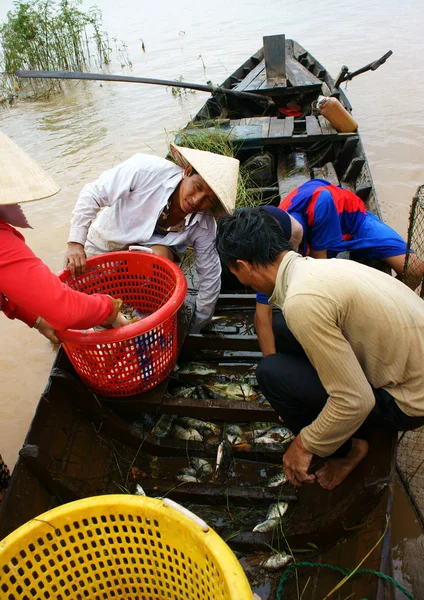 Pescatore asiatico, Tri Un lago, pesce di fiume — Foto Stock