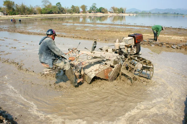 Agricultor asiático, campo de arroz vietnamita, arado tractor — Foto de Stock