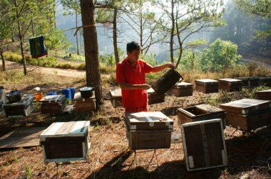 Asya arıcılık, Vietnamca arıcı, arı kovanı