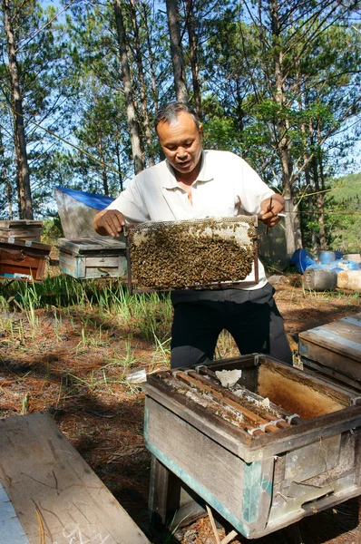 Asien imkerei, vietnamesischer imker, bienenstock — Stockfoto