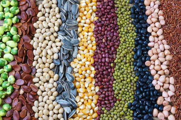 Collection of grain, cereal, seed, bean — Stock Photo, Image