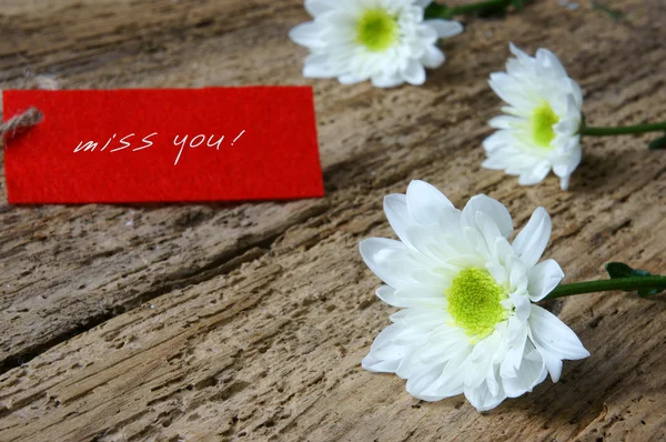 Love background, love you, miss you — Stock Photo, Image