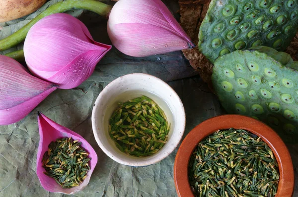 Kumpulan bunga teratai, benih, teh, makanan sehat — Stok Foto