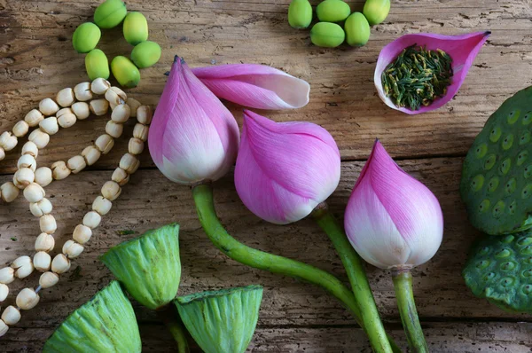 Colección flor de loto, semillas, té, alimentos saludables — Foto de Stock