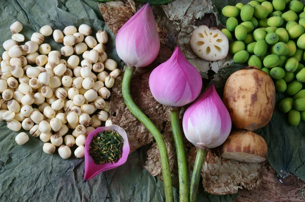 Collection lotus flower, seed, tea, healthy food — Stock Photo, Image